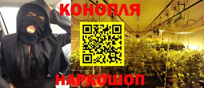 хмурый Кингисепп