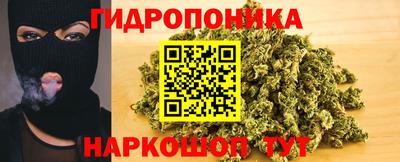 хмурый Кингисепп