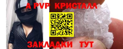 хмурый Кингисепп