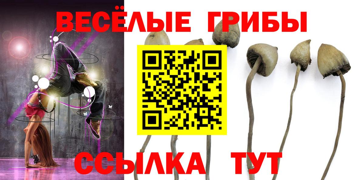 Георгиевск  Псилоцибиновые грибы ЛСД  Вход с VPN  Галлюциногенные грибы Magic Shrooms 